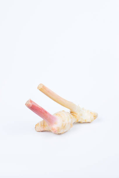 istock Galangal Head in isolated background 1161646214