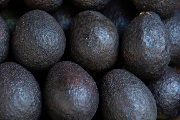 istock Avocado on market shelf. 1161647374