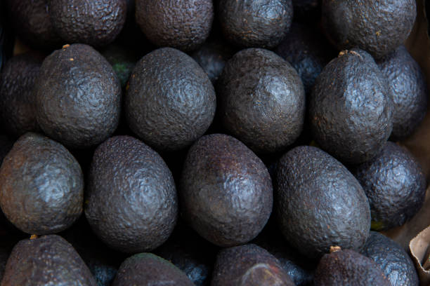 istock Avocado on market shelf. 1161647468
