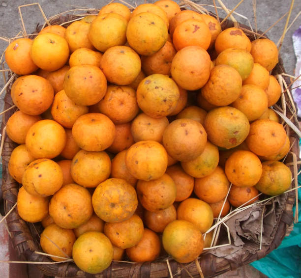 istock orange fruit bucket,Bhutan 1161650191
