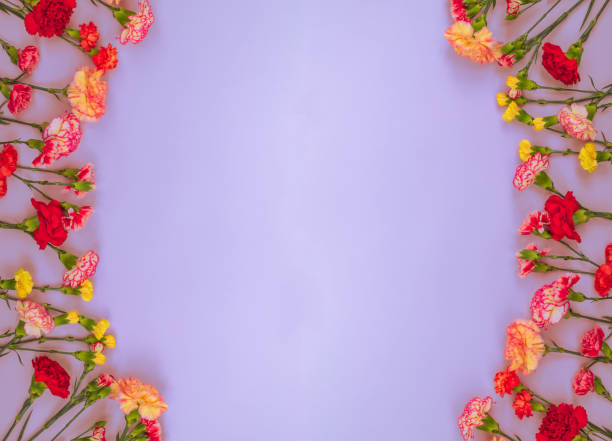 istock Blue background with carnations flowers and copy space. Top view. 1161651371