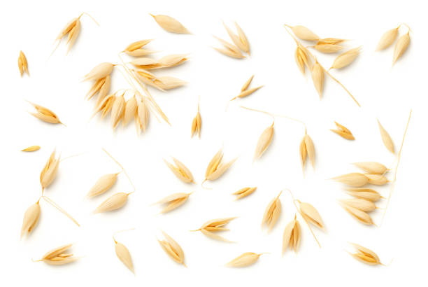 Oat Plants Isolated On White Background Oat plants isolated on white background. Top view, flat lay oat crop photos stock pictures, royalty-free photos & images
