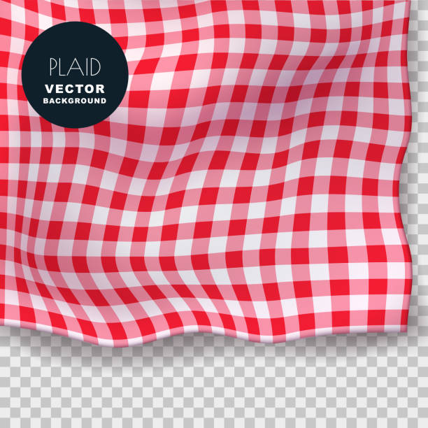 Tablecloth or plaid realistic vector illustration. Red gingham textile blanket on isolated transparent background. Tablecloth or plaid realistic vector illustration. Red gingham textile blanket on isolated transparent background. Abstract food menu background. picnic blanket stock illustrations