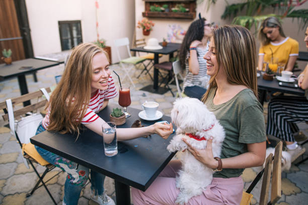 istock Beautiful young women playing with a dog 1161655450