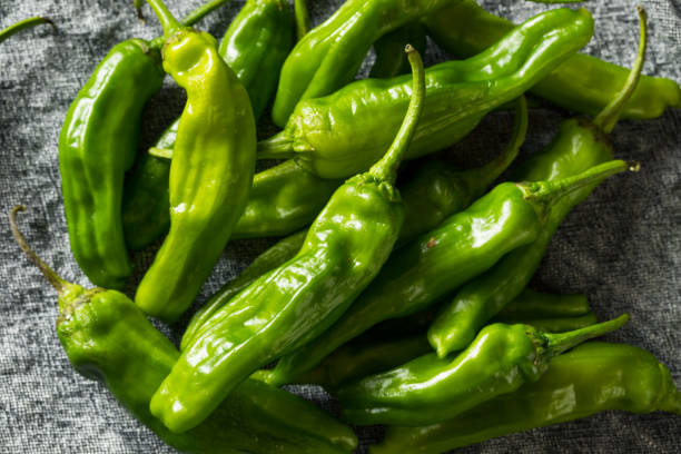 istock Raw Green Organic Shishito Peppers 1161661488