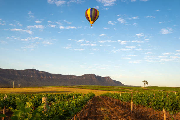 mongolfiera hunter valley - new south wales foto e immagini stock