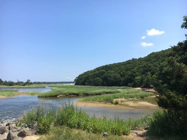 istock Marshland at Sunken Meadow State Park 1161664447
