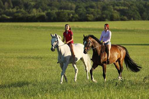Two young girl riding horses on the walk without saddle in summer time