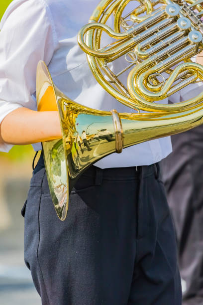istock student playing french horn, music instrucment 1161670483