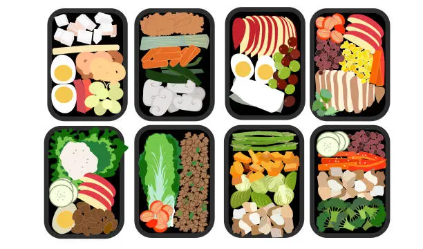 Vector illustration of Healthy meal prep box set