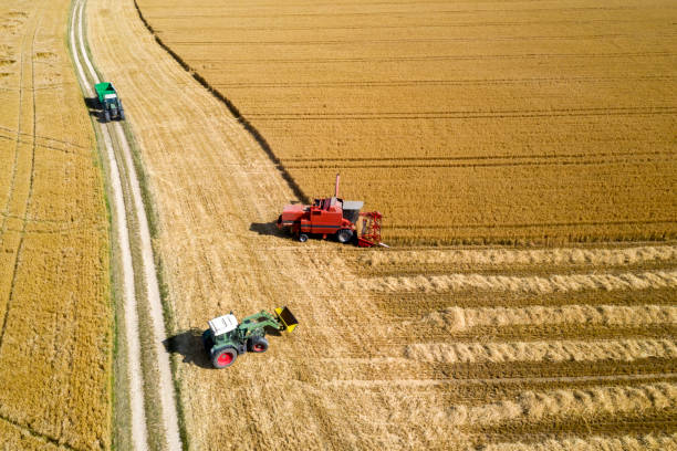 istock Combine Harvester and Two Tractors in Wheat Field 1161672909