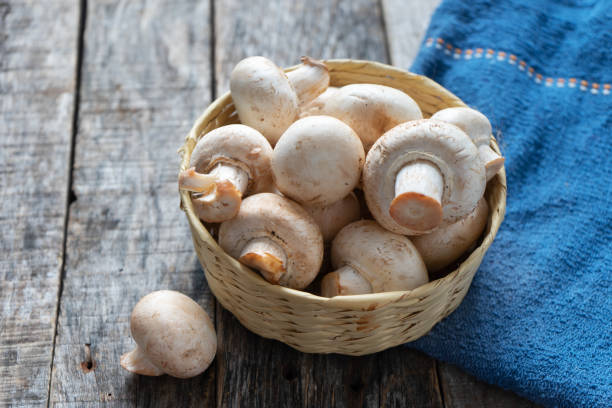 istock Mushroom mushrooms on wooden background 1161672926