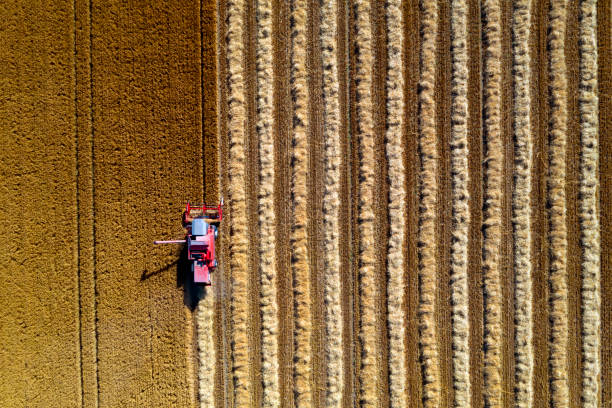 istock Combine Harvester in Wheat Field, Aerial View 1161673707