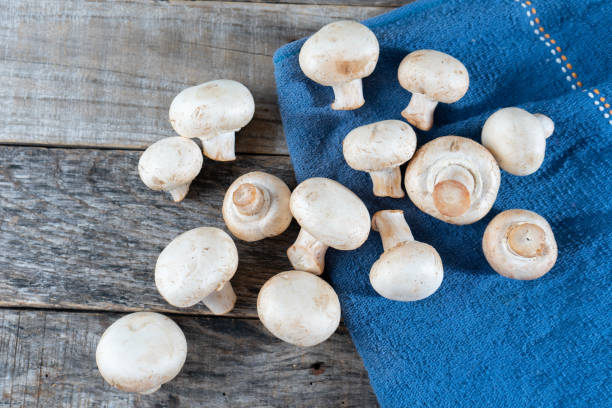 istock Mushroom mushrooms on wooden background 1161673733