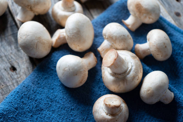 istock Mushroom mushrooms on wooden background 1161674525