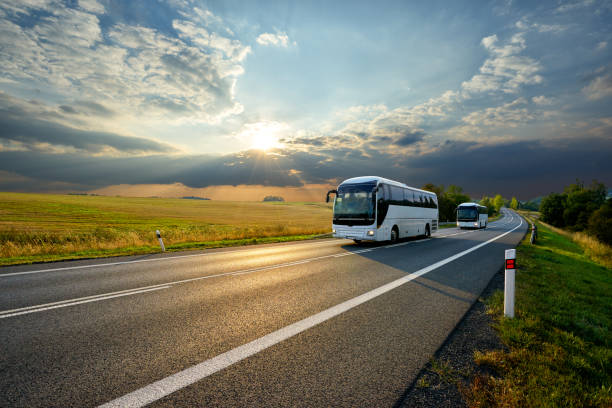 dos autobuses blancos que viajan por la carretera de asfalto en el paisaje rural al atardecer con nubes dramáticas - autobús fotos fotografías e imágenes de stock