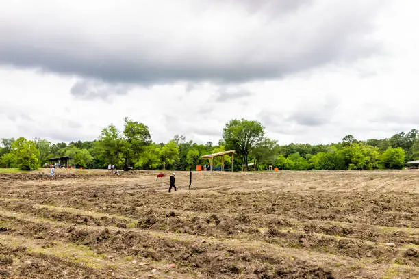 Photo of Crater of Diamonds State Park with brown soil in Arkansas dirt landscape meadow field and people digging searching for minerals