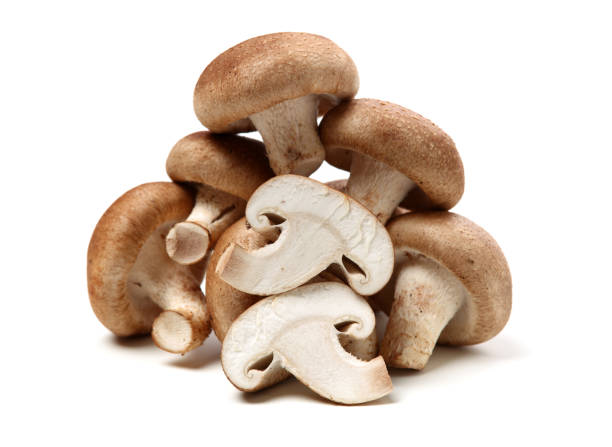 istock Shiitake mushroom on the White background 1161678615