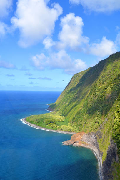 istock Molokai Aerial from Helicopter View 1161678636