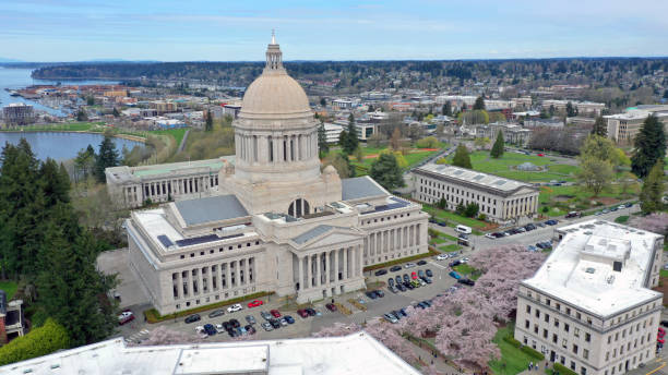 올림피아 워싱턴 의 주립 수도 건물에서 봄 벚꽃 - washington state olympia state capital 뉴스 사진 이미지