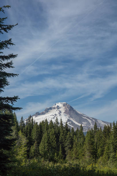 mountain hood hiking trail in oregon - 2546 imagens e fotografias de stock