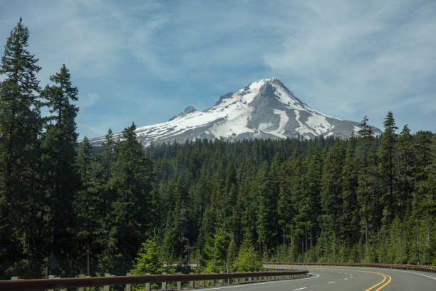 istock Mountain Hood hiking trail in Oregon 1161688020