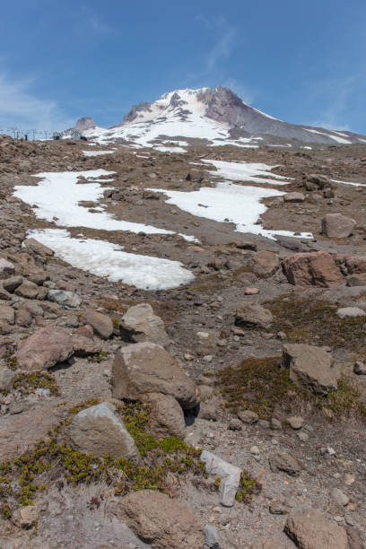 istock Mountain Hood hiking trail in Oregon 1161688598