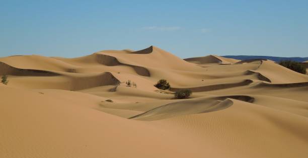 istock Beautiful sand dune of Grand Erg Occidental 1161693767