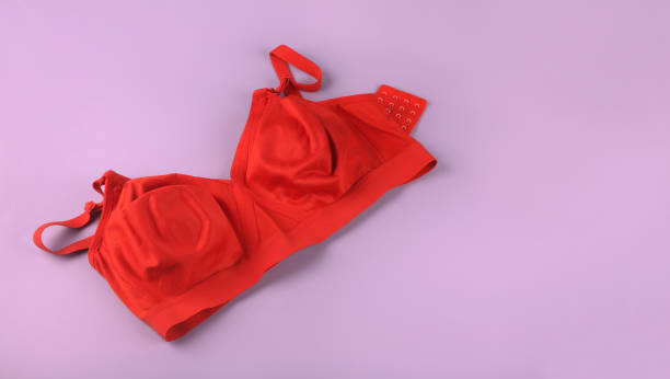 istock Lace Bra Isolated on Gray Background 1161700033
