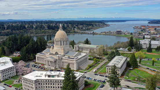 Aerial Perspective Over Spring Cherry Blossoms at the Washington State Capital building in Olympia