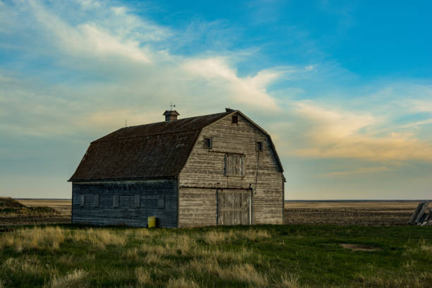 istock Barns of the Prairies in Springtime 1161707508