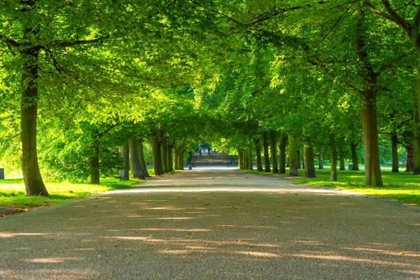 istock Greenwich Park in London, UK 1161707530