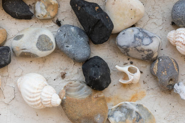 istock Collection of shells and rocks 1161707661