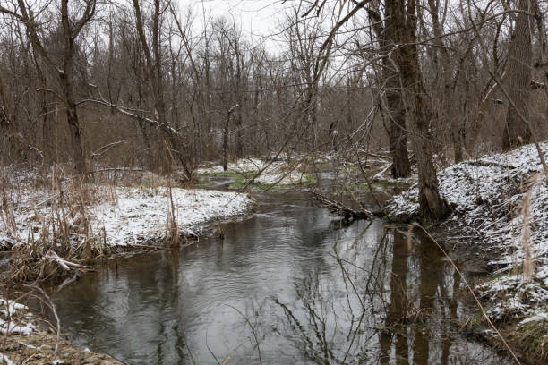 istock Nature background stream in woods in winter 1161707742