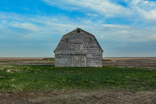 The spring light shines on a rustic old barn on the prairies.