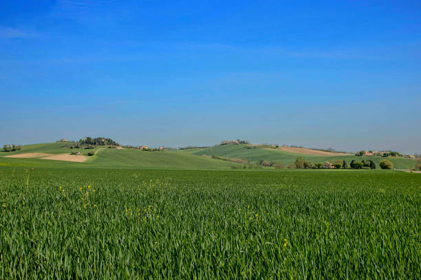 istock Landscape of Marche 1161711023