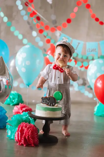 Adorable happy baby boy eating cake one at his first birthday cakesmash party.