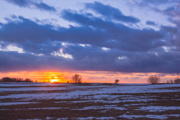 istock Rural field in early spring at sunset 1161718527