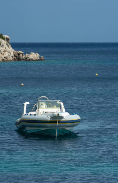 istock Private small speedboat moored on the shore 1161719664