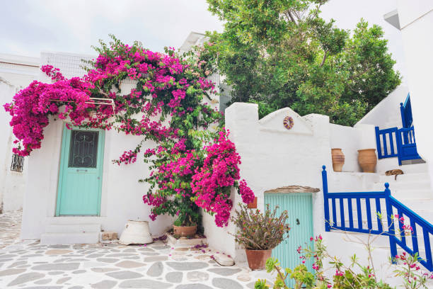 istock Parikia town, Paros island, Greece 1161723404