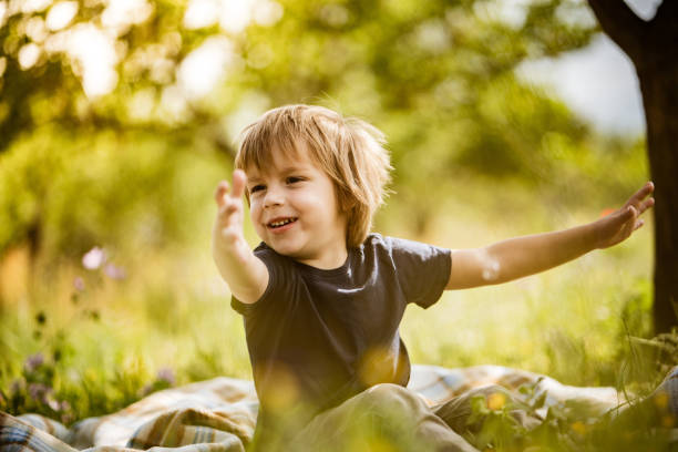 istock Small boy enjoying in nature 1161725961
