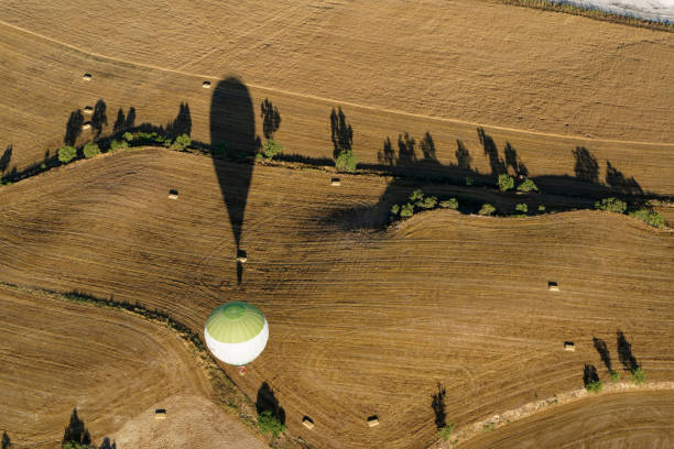 Hot air balloon over ploughed field and lines of trees shot from the air