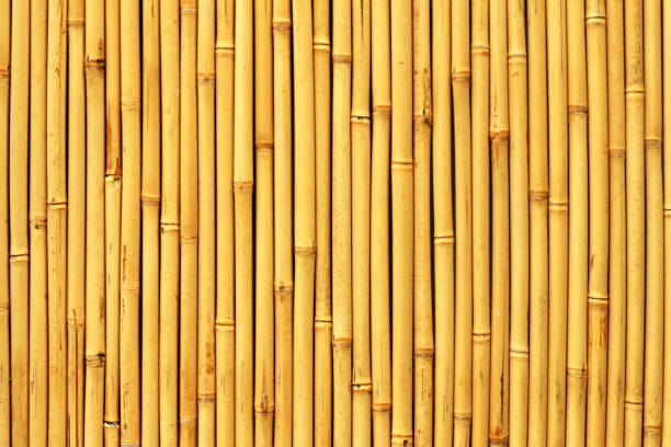 istock Closeup Photo of Natural Bamboo Fence Panel 1161729108