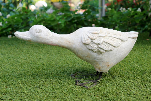 Lovely White Duck Statue Decorated in the Public Park