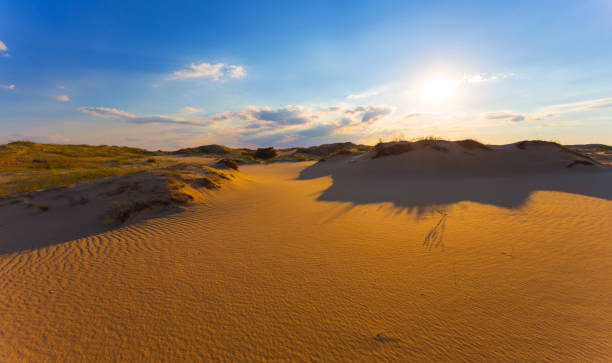istock hot sandy desert panorama at the sunset 1161736598