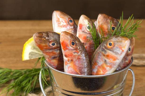 istock barbun fish in a metal bucket 1161739828