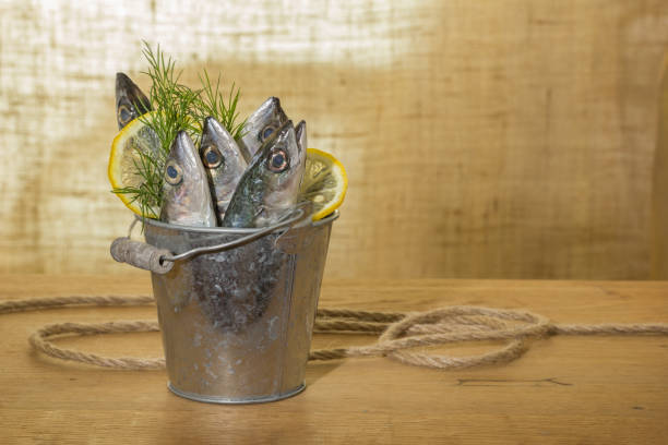 istock mackerel fish in a metal bucket 1161739881