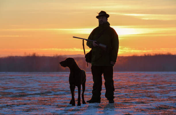 istock A hunter in a hat with a gun and a German shorthair pointer dog breed stands on a meadow covered with snow. Majestic winter scenery. Amazing sunrise. 1161740369