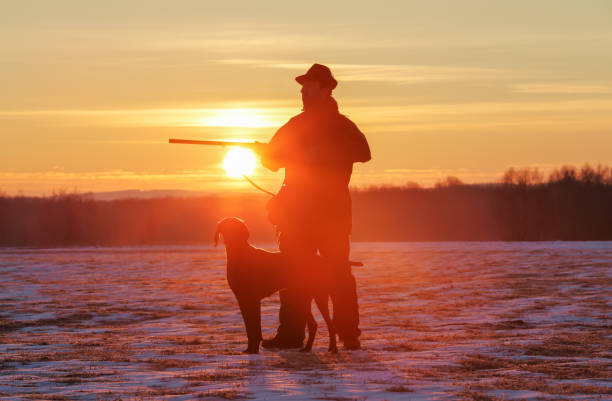 a hunter in the hat with a gun and his german shorthaired pointer dog breed friend. beautiful silhouettes on the background of the dawn. amazing winter morning. - german countryside imagens e fotografias de stock