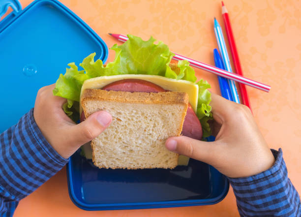 menino de escola elementar da idade com a caixa de almoço que come um sanduíche com alface do queijo, da salsicha e da folha. alimento de escola, imagem do conceito. close-up, foco seletivo. - lunch box child school lunch - fotografias e filmes do acervo